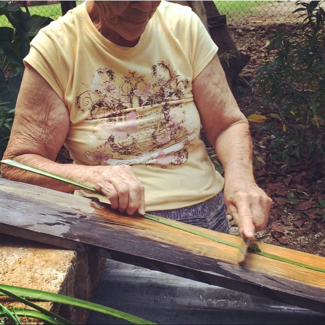 Sra, Esmeralda Morales & Eustaquio Alers are one of the few artisans that still harvest/extract/process Maguey fiber and weave Hammocks with it. Esmeralda was kind to walk me through the entire proces